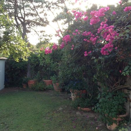 Deliziosa Villa 150 Metri Dal Mare كوارتو سانتيلينا المظهر الخارجي الصورة